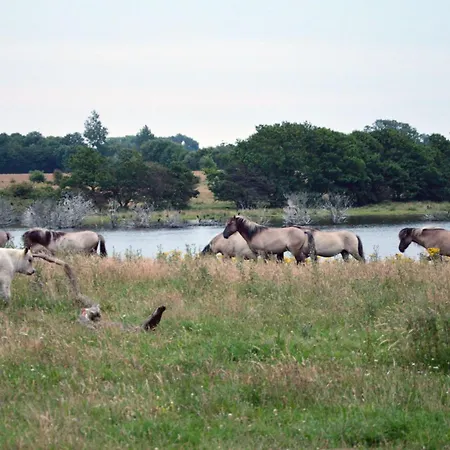 Smukke Bleibe Διαμέρισμα